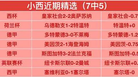 墨尔本联大NBL连胜，18点NBL对决揭秘：跳蚁对决不容错过！